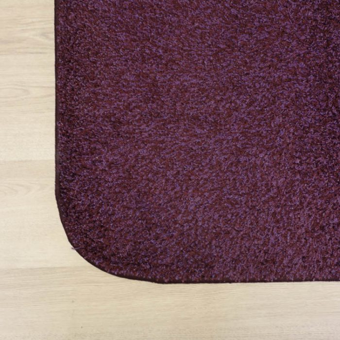 09102024-IMG_4361 Tæppe 425×320