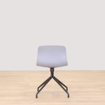 Formand for konferencen AAC 10