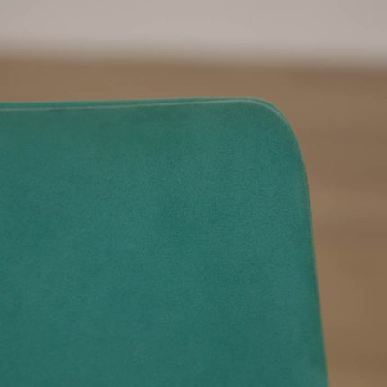 Formand for konferencen Colt