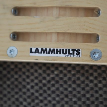 Formand for Comet Sport-konferencen