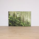 Akustiktavla Skog