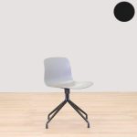 Formand for konferencen AAC 10