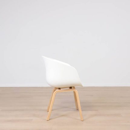 Formand for konferencen AAC 22