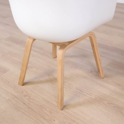 Formand for konferencen AAC 22