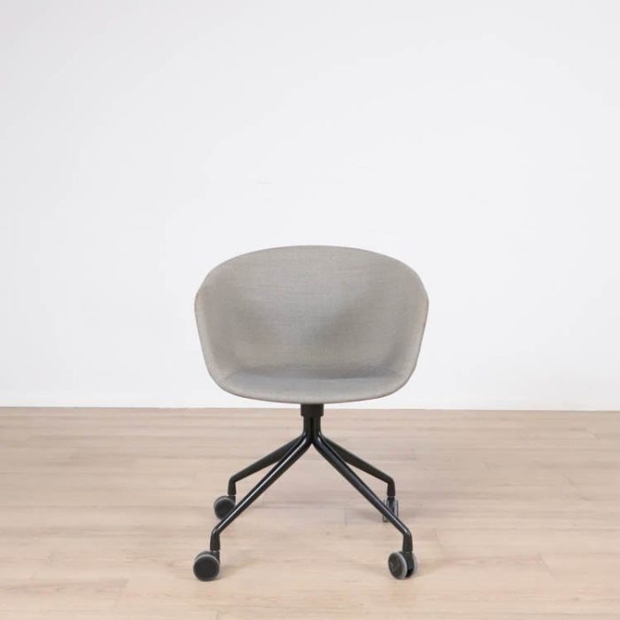 Formand for konferencen AAC25