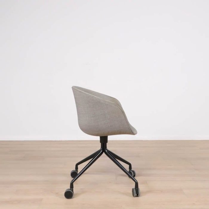 Formand for konferencen AAC25