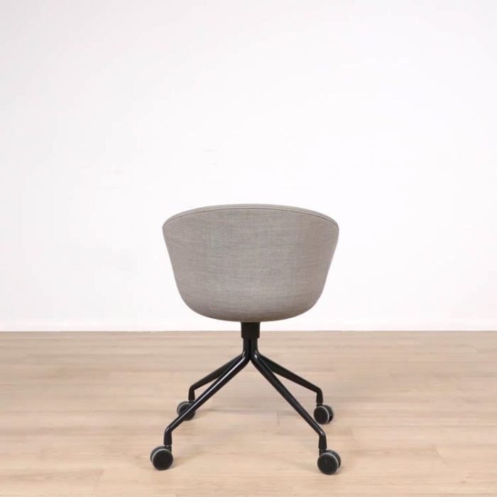 Formand for konferencen AAC25