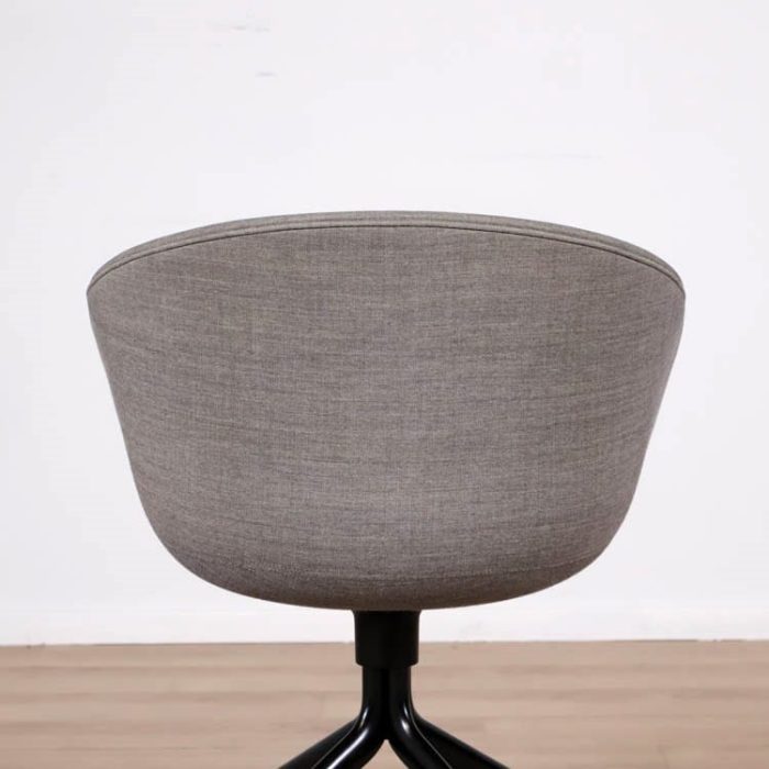 Formand for konferencen AAC25