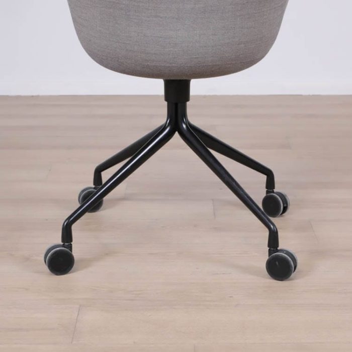 Formand for konferencen AAC25