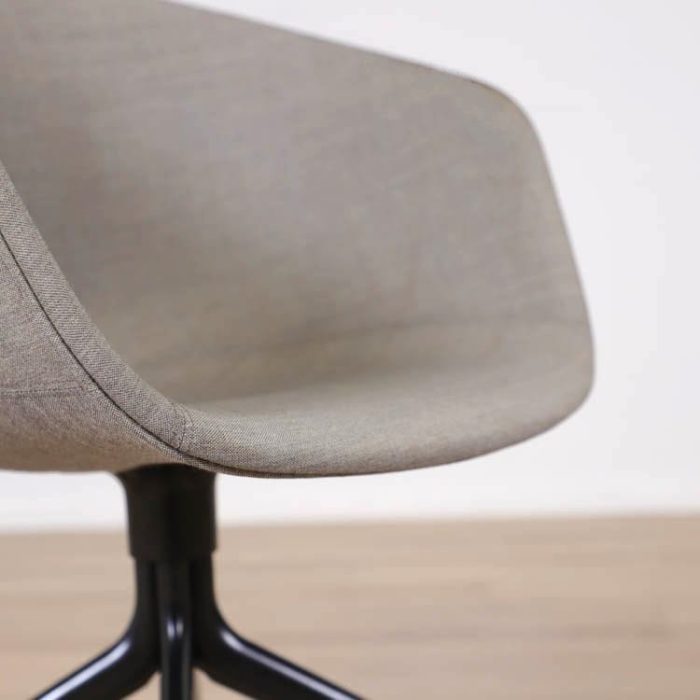 Formand for konferencen AAC25