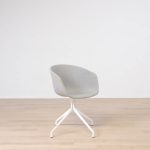 Formand for konferencen AAC21