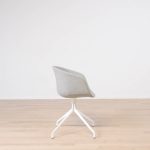 Formand for konferencen AAC21