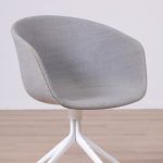 Formand for konferencen AAC21