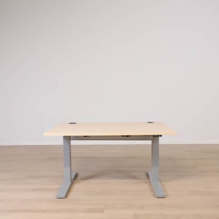 Izi Pro elektrisk højdejusterbart skrivebord