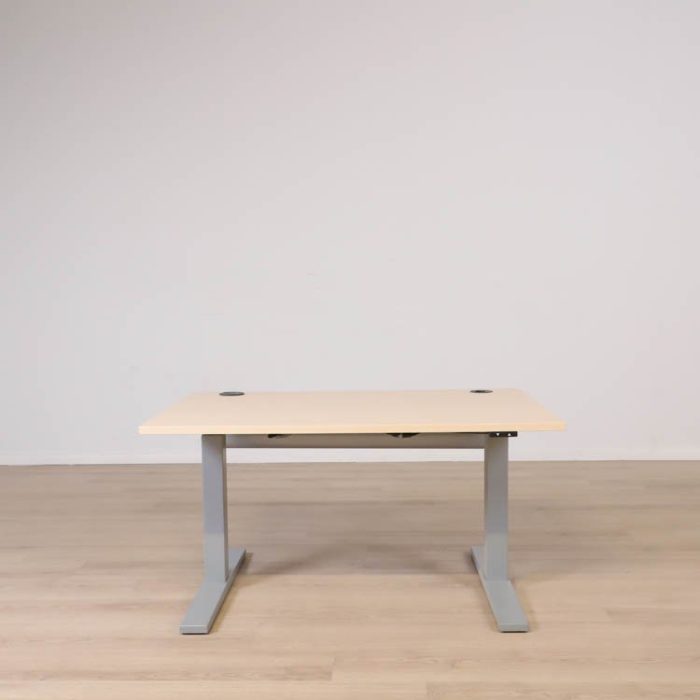 Elektriskt höj- och sänkbart skrivbord Izi Pro